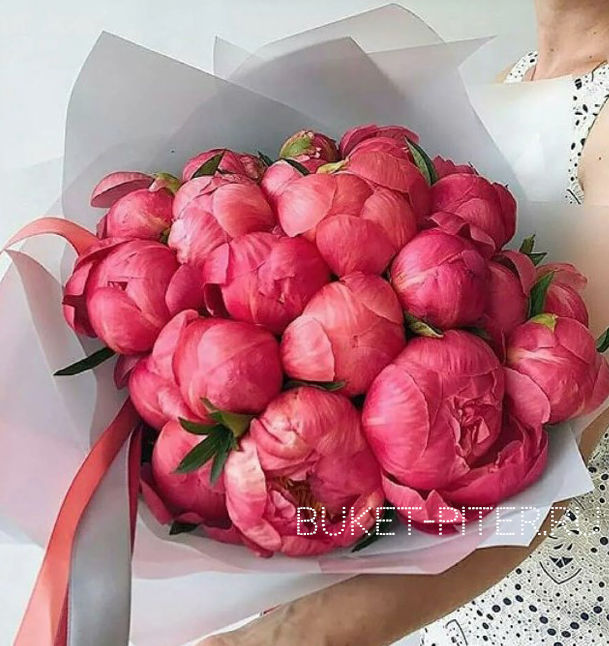 Букет Коралловых Пионов №20