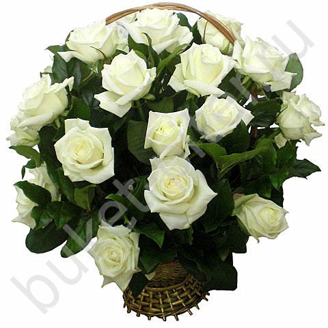Корзина из 25 белых роз